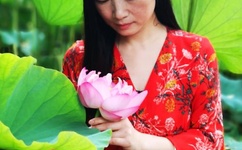 最近的中文字幕视频完整